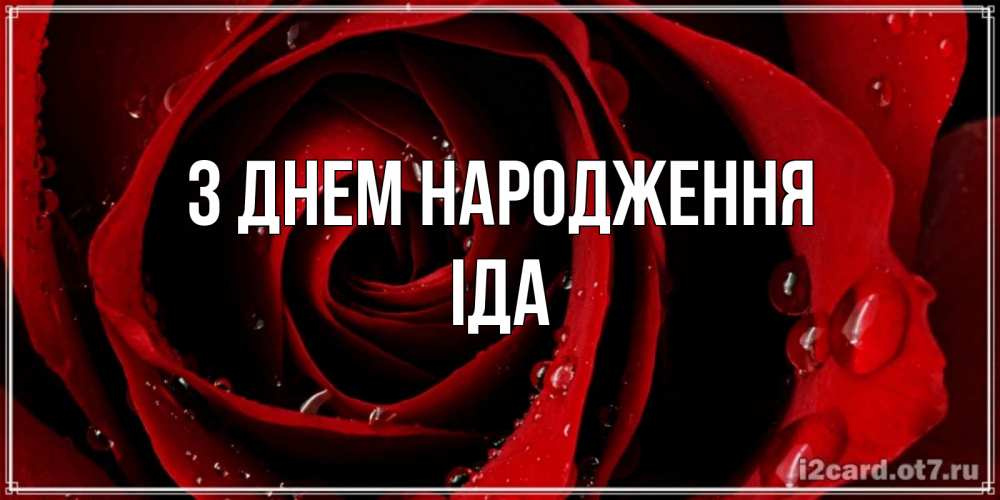 Открытка на каждый день з підписом, Іда З Днем народження крупная бордовая роза Прикольна листівка з побажанням онлайн скачати безкоштовно 