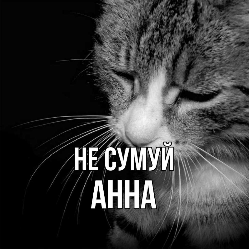 Открытка на каждый день з підписом, Анна Не сумуй грустный котик Прикольна листівка з побажанням онлайн скачати безкоштовно 