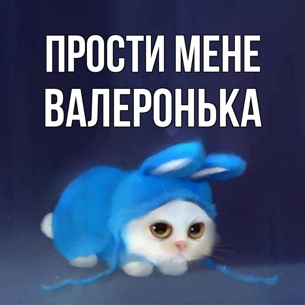 Открытка на каждый день з підписом, Валеронька Прости мене невинный котозай просит прощения Прикольна листівка з побажанням онлайн скачати безкоштовно 