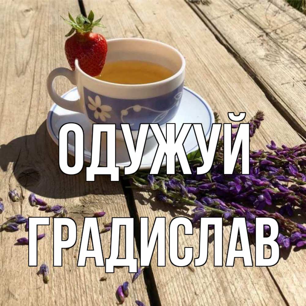 Открытка на каждый день з підписом, Градислав Одужуй чай Прикольна листівка з побажанням онлайн скачати безкоштовно 