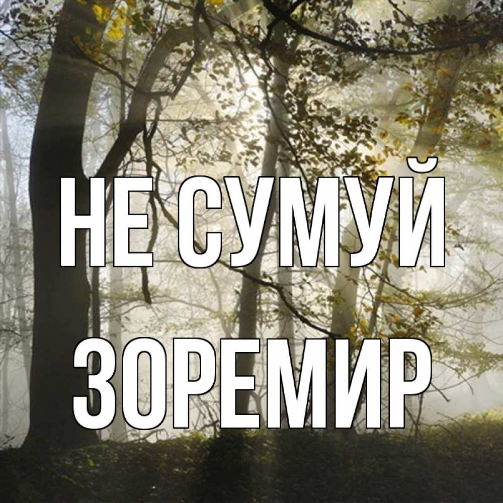 Открытка на каждый день з підписом, Зоремир Не сумуй лес и свет Прикольна листівка з побажанням онлайн скачати безкоштовно 