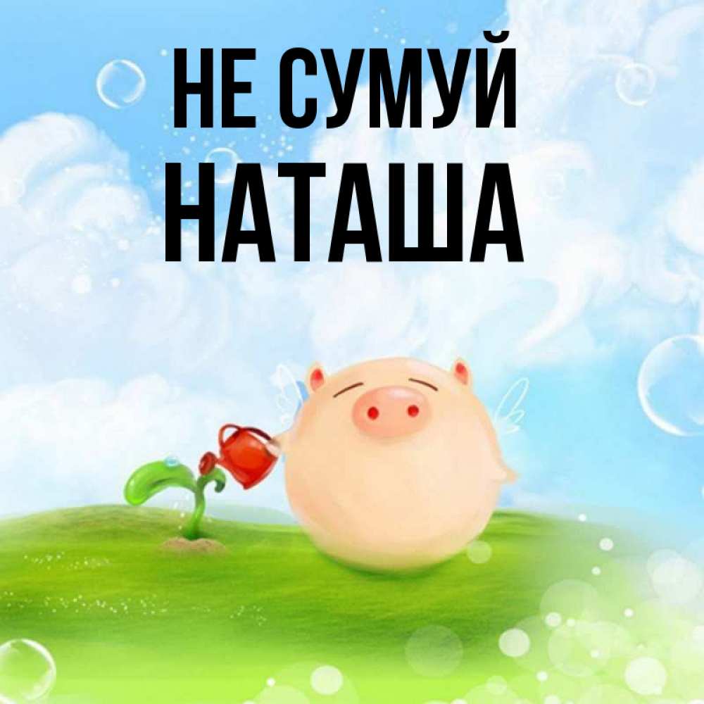 Открытка на каждый день з підписом, Наташа Не сумуй поливает цветок порося Прикольна листівка з побажанням онлайн скачати безкоштовно 