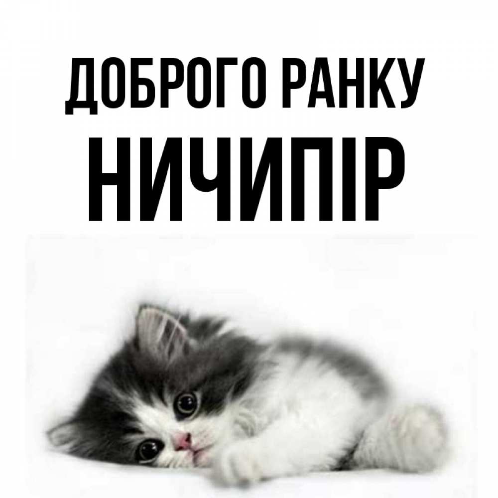 Открытка на каждый день з підписом, Ничипір Доброго ранку кот лапки Прикольна листівка з побажанням онлайн скачати безкоштовно 