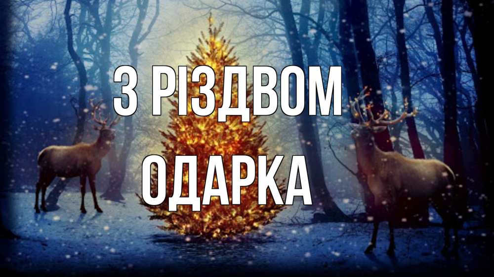 Открытка на каждый день з підписом, Одарка З Різдвом олени, новогодняя елка Прикольна листівка з побажанням онлайн скачати безкоштовно 