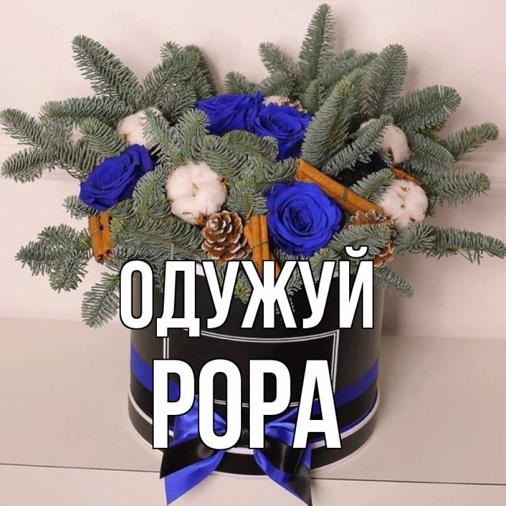 Открытка на каждый день з підписом, Рора Одужуй короче кто то загрузил эти шишки Прикольна листівка з побажанням онлайн скачати безкоштовно 