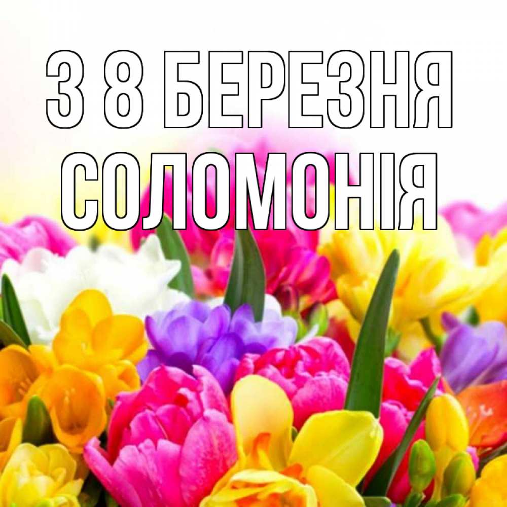 Открытка на каждый день з підписом, Соломонія З 8 БЕРЕЗНЯ тюльпаны Прикольна листівка з побажанням онлайн скачати безкоштовно 