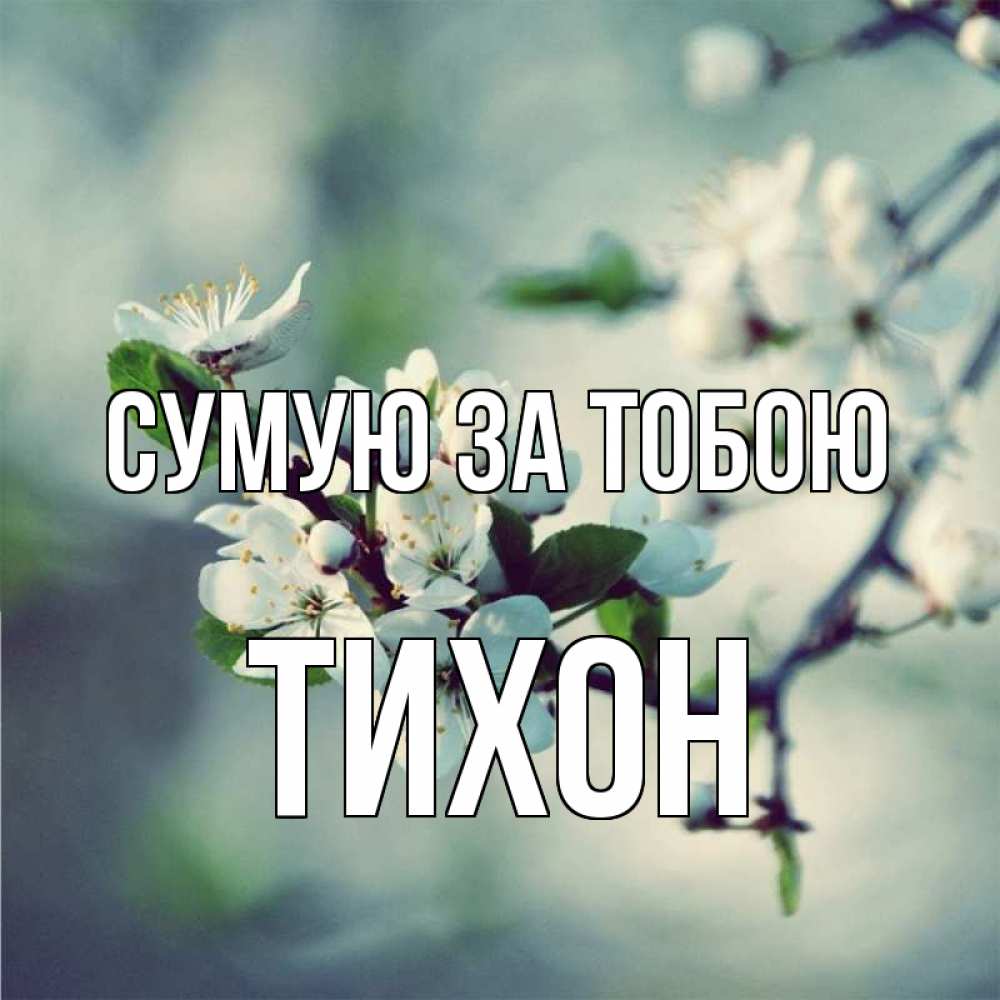 Открытка на каждый день з підписом, Тихон Сумую за тобою весна Прикольна листівка з побажанням онлайн скачати безкоштовно 