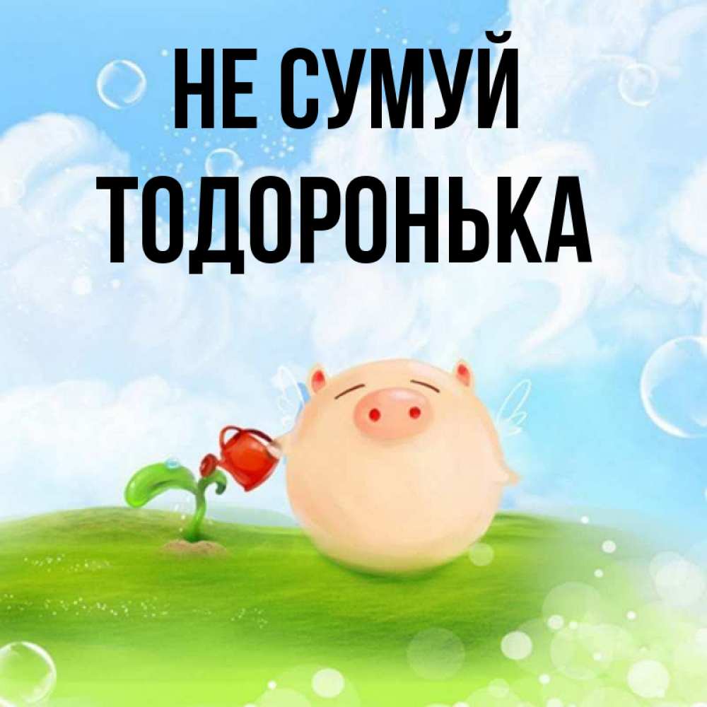 Открытка на каждый день з підписом, Тодоронька Не сумуй поливает цветок порося Прикольна листівка з побажанням онлайн скачати безкоштовно 