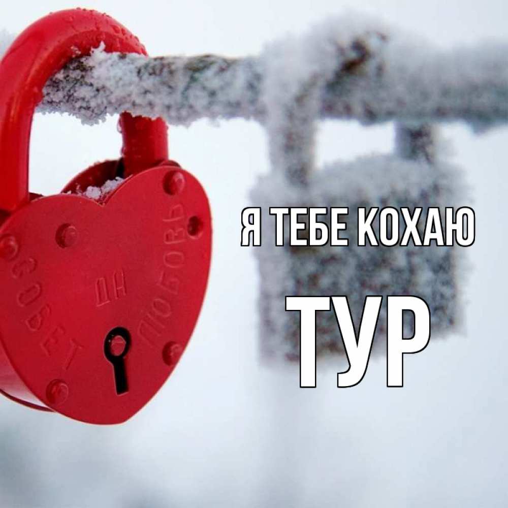 Открытка на каждый день з підписом, Тур Я тебе кохаю любви Прикольна листівка з побажанням онлайн скачати безкоштовно 