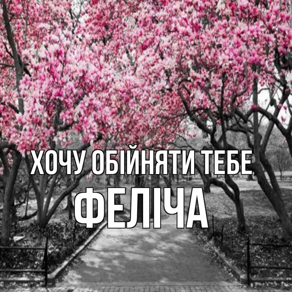 Открытка на каждый день з підписом, Феліча Хочу обійняти тебе обработанное фото Прикольна листівка з побажанням онлайн скачати безкоштовно 