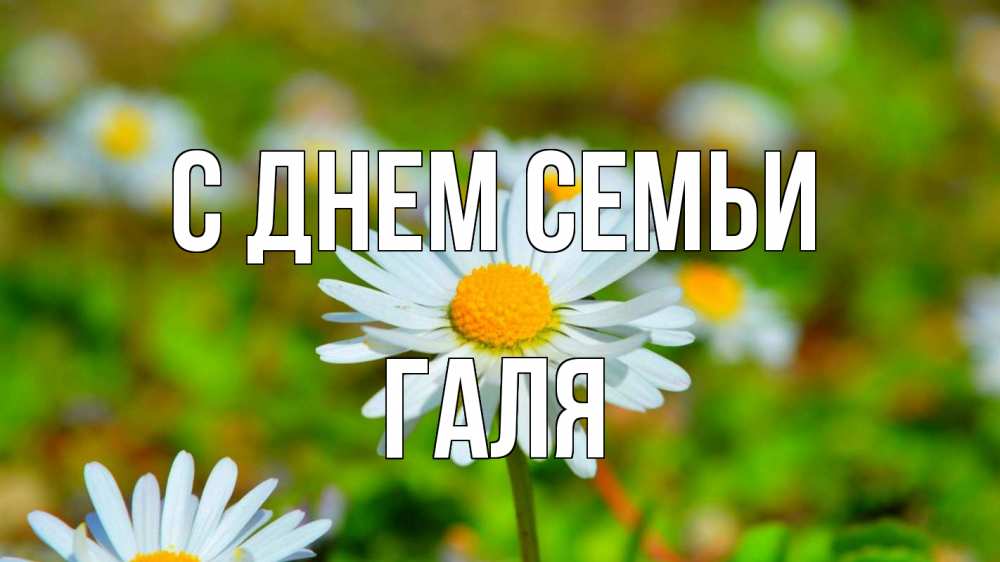 Открытка на каждый день з підписом, Галя С днем семьи с днем семьи Прикольна листівка з побажанням онлайн скачати безкоштовно 