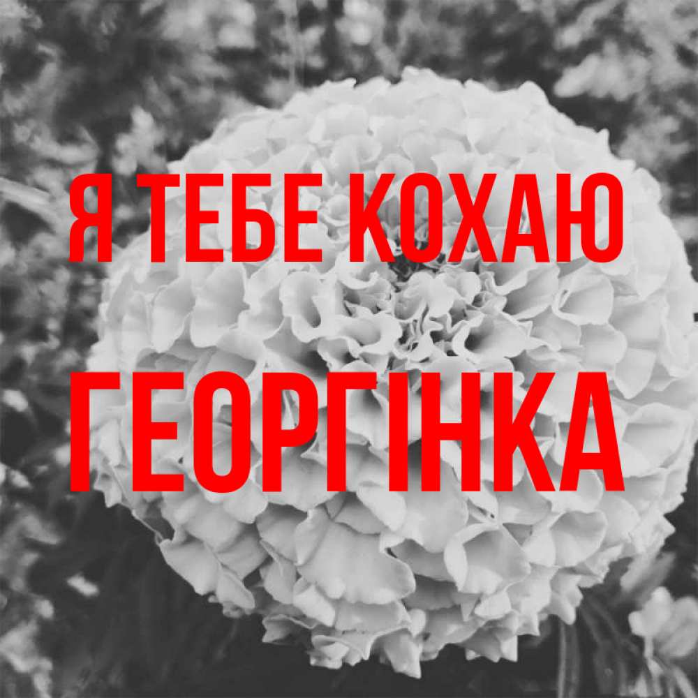 Открытка на каждый день з підписом, Георгінка Я тебе кохаю подпись Прикольна листівка з побажанням онлайн скачати безкоштовно 