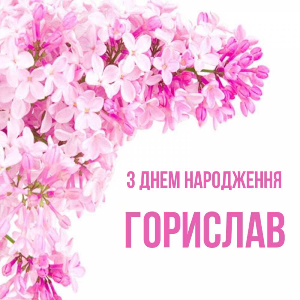 Открытка на каждый день з підписом, Горислав З Днем народження Сирень на белом фоне Прикольна листівка з побажанням онлайн скачати безкоштовно 