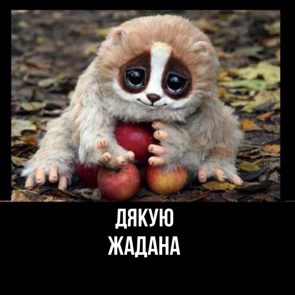 Открытка на каждый день з підписом, Жадана Дякую прикольное животное Прикольна листівка з побажанням онлайн скачати безкоштовно 