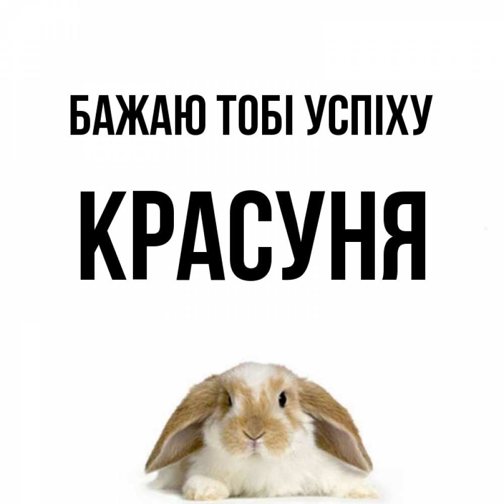 Открытка на каждый день з підписом, Красуня Бажаю тобі успіху открытки с произвольным текстом который можно вставить в открытку и создать ее самостоятельно бесплатно онлайн Прикольна листівка з побажанням онлайн скачати безкоштовно 