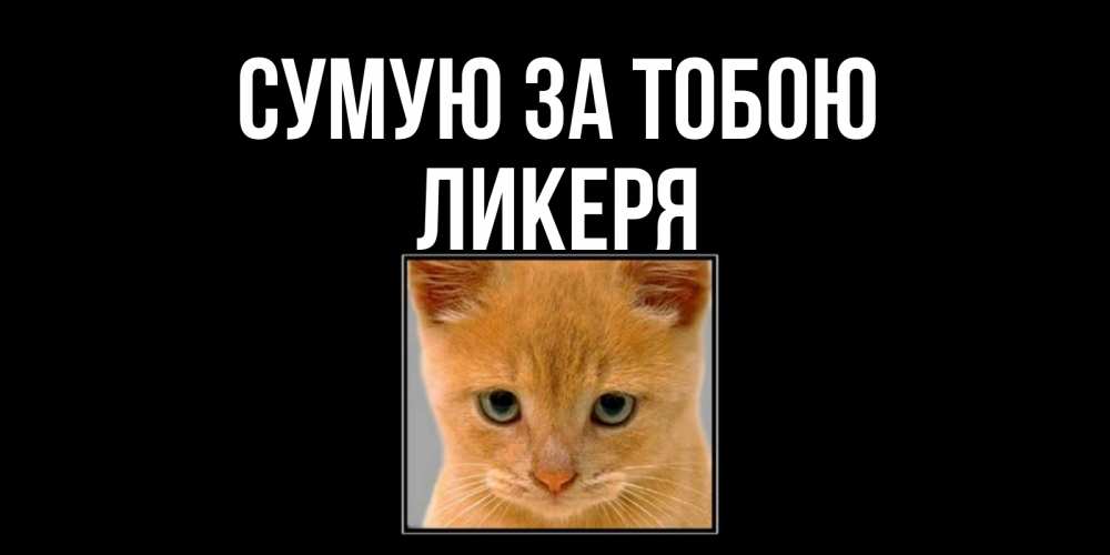 Открытка на каждый день з підписом, Ликеря Сумую за тобою открытки рыжий котенок скучает по тебе Прикольна листівка з побажанням онлайн скачати безкоштовно 