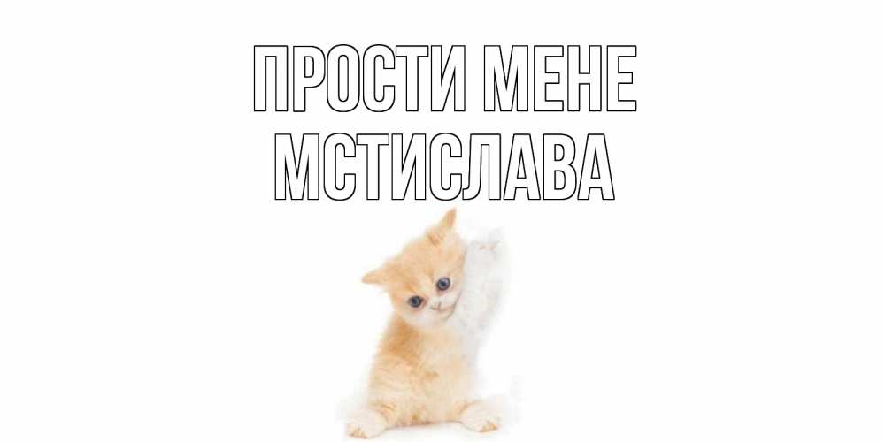 Открытка на каждый день з підписом, Мстислава Прости мене кот Прикольна листівка з побажанням онлайн скачати безкоштовно 