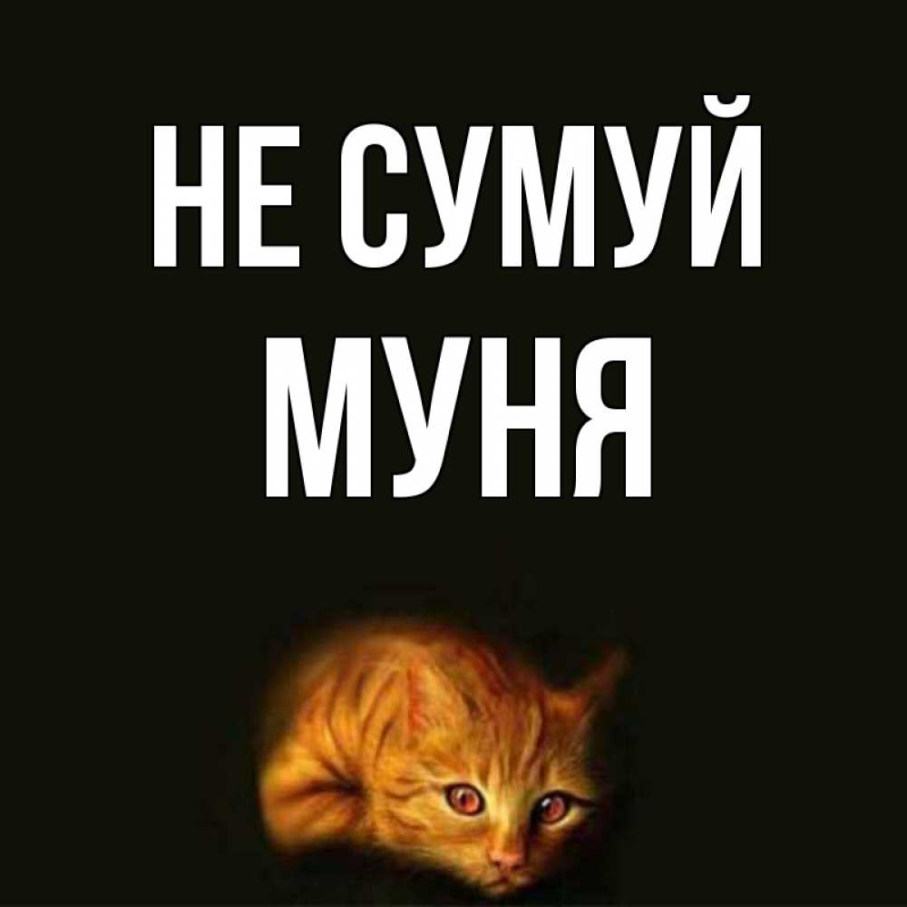 Открытка на каждый день з підписом, Муня Не сумуй лежащий кот в темноте Прикольна листівка з побажанням онлайн скачати безкоштовно 
