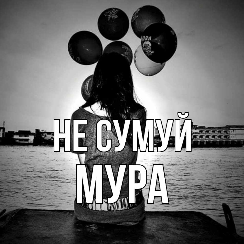 Открытка на каждый день з підписом, Мура Не сумуй мост Прикольна листівка з побажанням онлайн скачати безкоштовно 