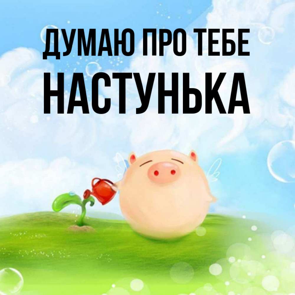 Открытка на каждый день з підписом, Настунька Думаю про тебе позитивная свинюшка Прикольна листівка з побажанням онлайн скачати безкоштовно 