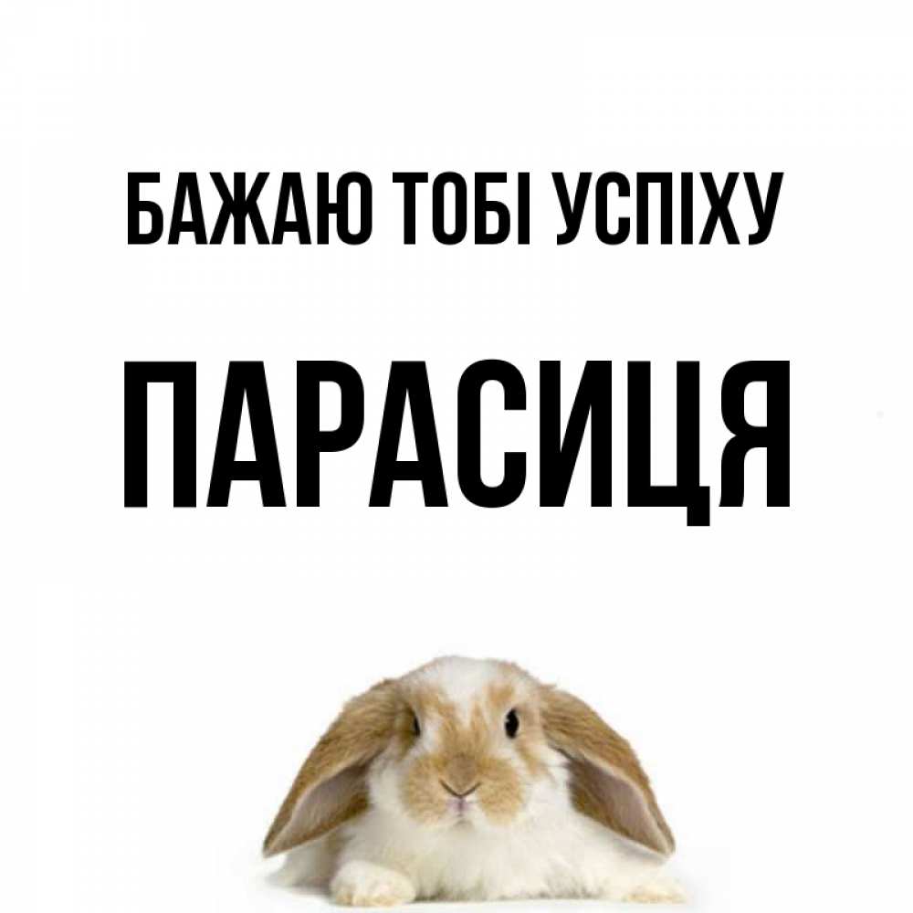 Открытка на каждый день з підписом, Парасиця Бажаю тобі успіху открытки с произвольным текстом который можно вставить в открытку и создать ее самостоятельно бесплатно онлайн Прикольна листівка з побажанням онлайн скачати безкоштовно 