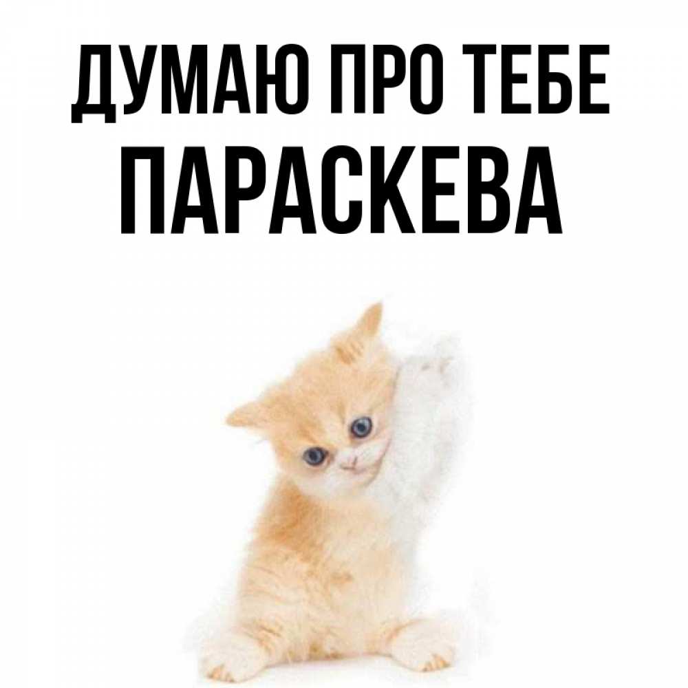 Открытка на каждый день з підписом, Параскева Думаю про тебе зверушки и милота Прикольна листівка з побажанням онлайн скачати безкоштовно 