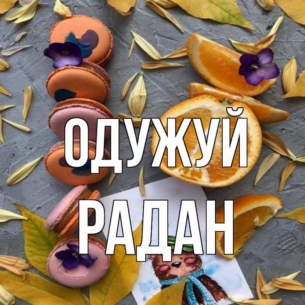 Открытка на каждый день з підписом, Радан Одужуй не болейте Прикольна листівка з побажанням онлайн скачати безкоштовно 