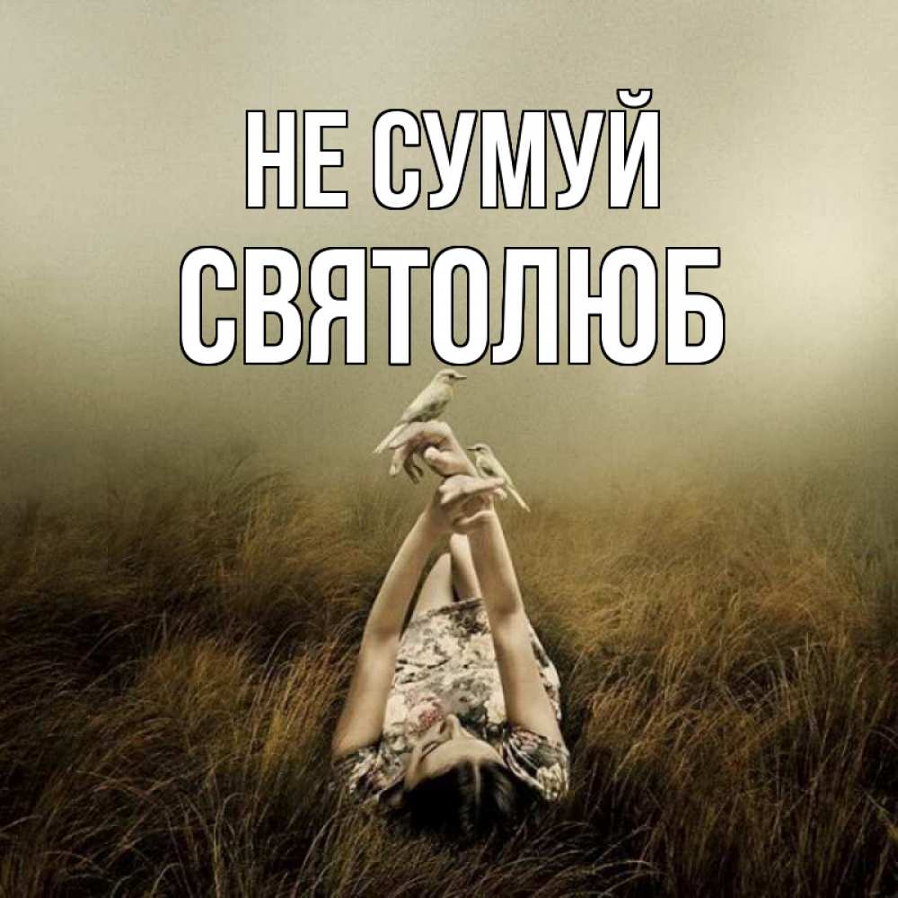 Открытка на каждый день з підписом, Святолюб Не сумуй поле и туман Прикольна листівка з побажанням онлайн скачати безкоштовно 