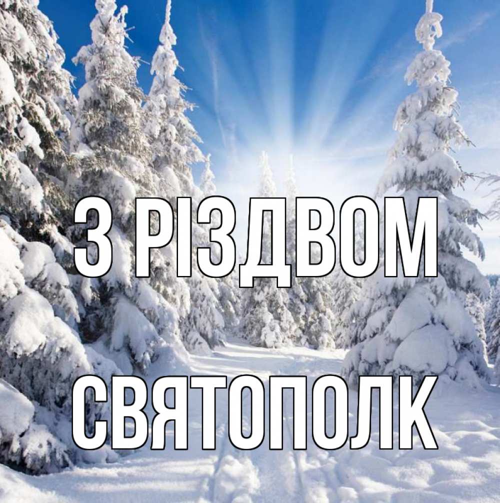 Открытка на каждый день з підписом, Святополк З Різдвом зима, лес Прикольна листівка з побажанням онлайн скачати безкоштовно 