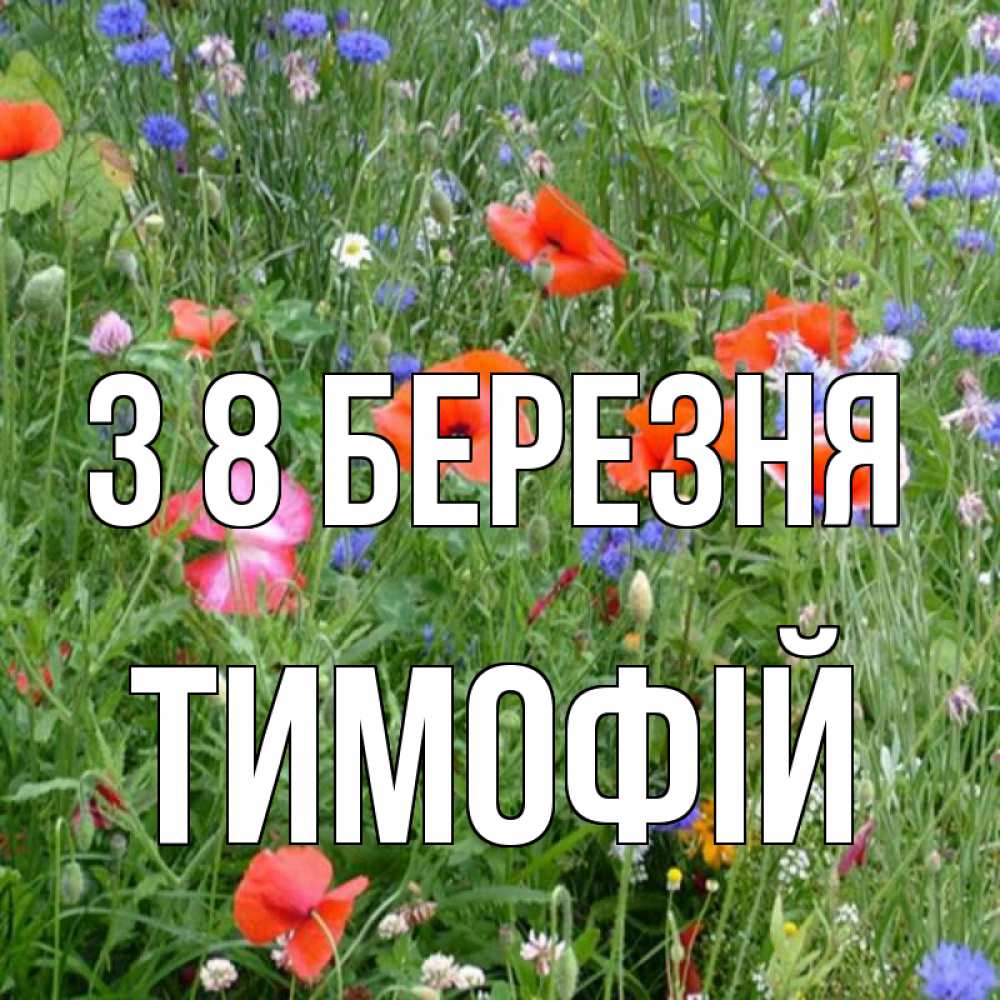 Открытка на каждый день з підписом, Тимофій З 8 БЕРЕЗНЯ международный женский день 4 Прикольна листівка з побажанням онлайн скачати безкоштовно 