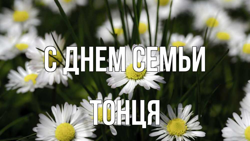 Открытка на каждый день з підписом, Тонця С днем семьи с днем семьи  2 Прикольна листівка з побажанням онлайн скачати безкоштовно 