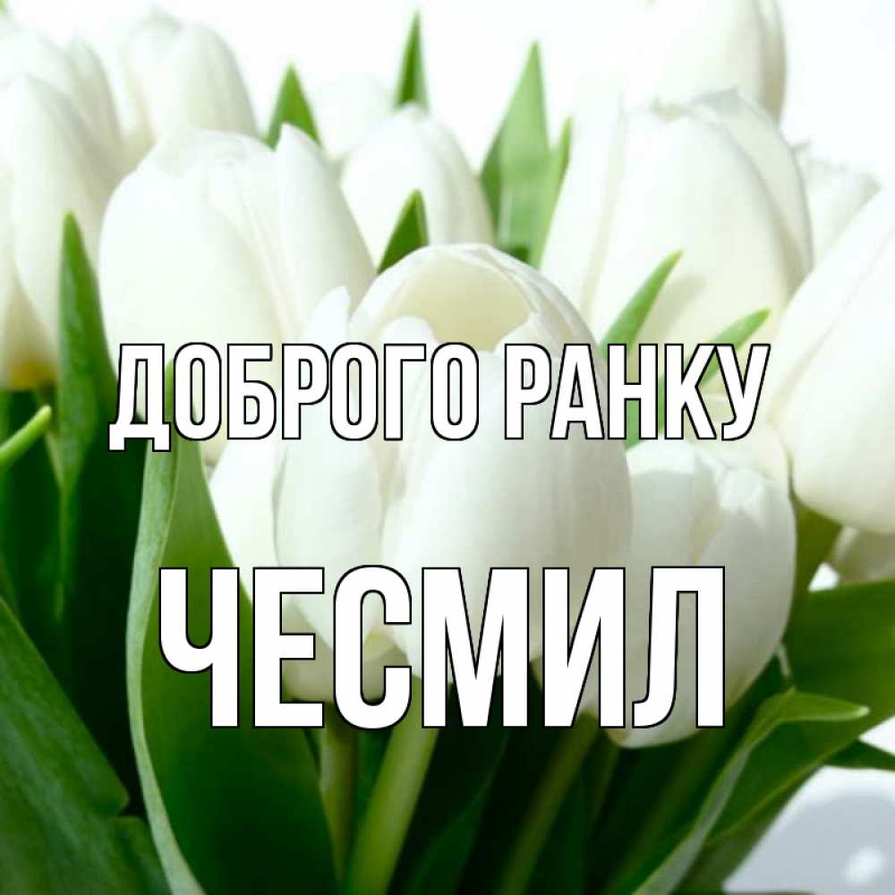 Открытка на каждый день з підписом, Чесмил Доброго ранку открытки на каждый день по именам Прикольна листівка з побажанням онлайн скачати безкоштовно 