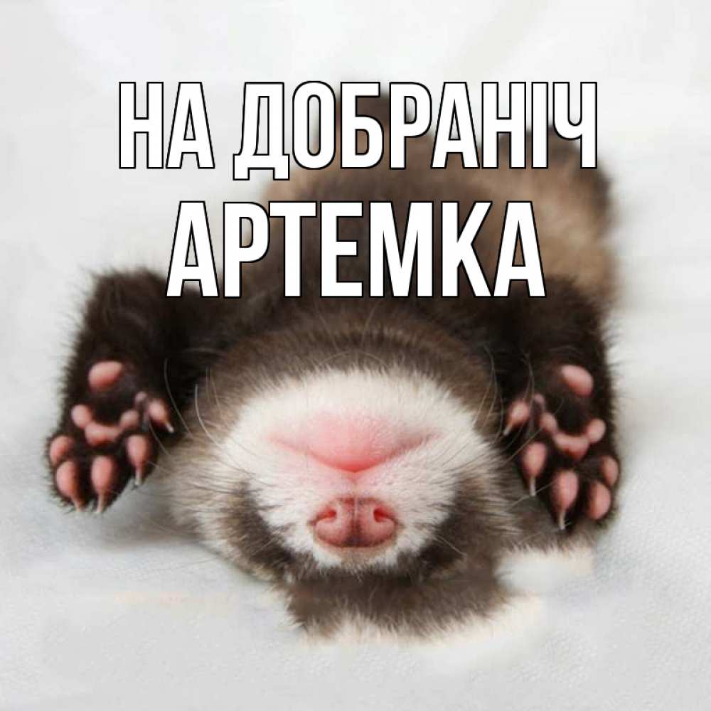 Открытка на каждый день з підписом, Артемка На добраніч зверек Прикольна листівка з побажанням онлайн скачати безкоштовно 