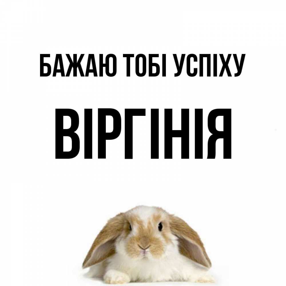 Открытка на каждый день з підписом, Віргінія Бажаю тобі успіху открытки с произвольным текстом который можно вставить в открытку и создать ее самостоятельно бесплатно онлайн Прикольна листівка з побажанням онлайн скачати безкоштовно 