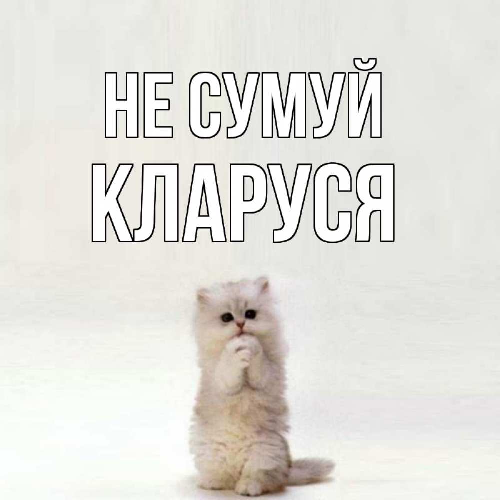 Открытка на каждый день з підписом, Кларуся Не сумуй грустный кот Прикольна листівка з побажанням онлайн скачати безкоштовно 