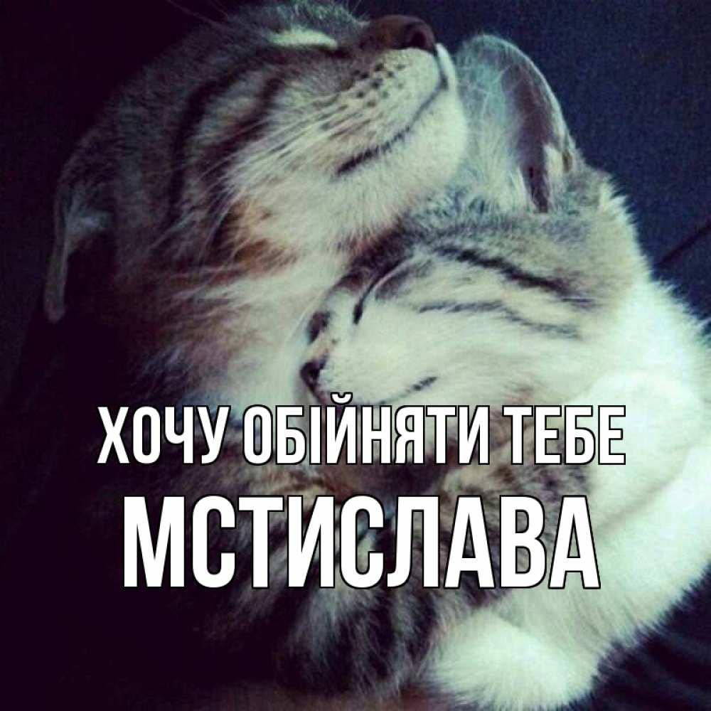 Открытка на каждый день з підписом, Мстислава Хочу обійняти тебе полосатики Прикольна листівка з побажанням онлайн скачати безкоштовно 