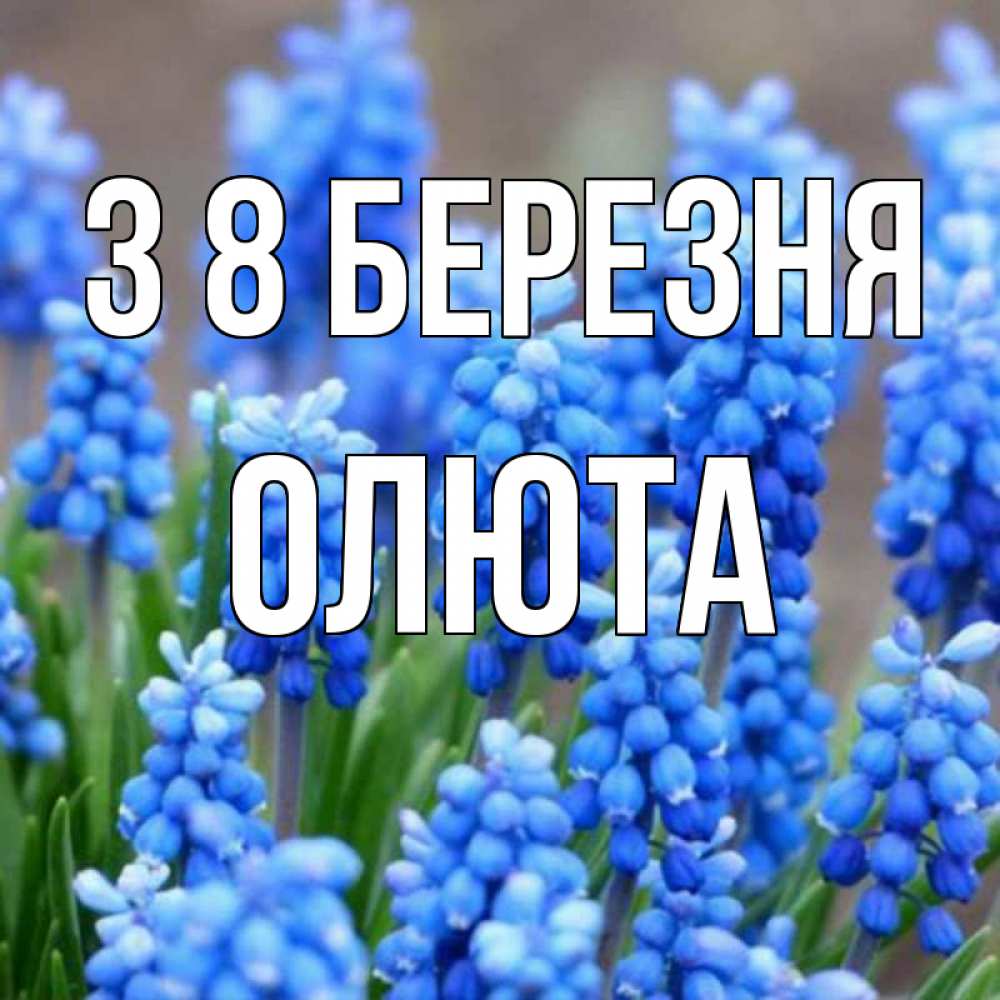 Открытка на каждый день з підписом, Олюта З 8 БЕРЕЗНЯ Поздравительная открытка для женщин с цветами на праздничную дату Прикольна листівка з побажанням онлайн скачати безкоштовно 