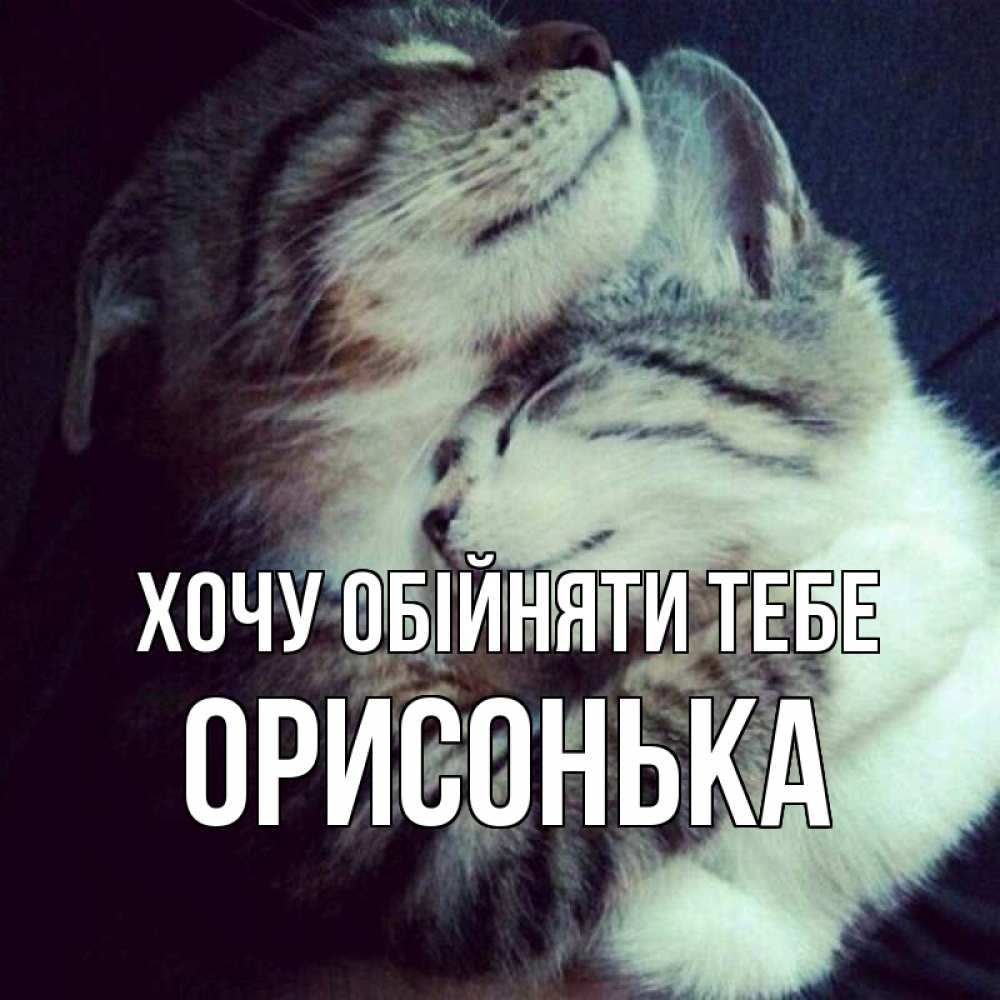 Открытка на каждый день з підписом, Орисонька Хочу обійняти тебе полосатики Прикольна листівка з побажанням онлайн скачати безкоштовно 