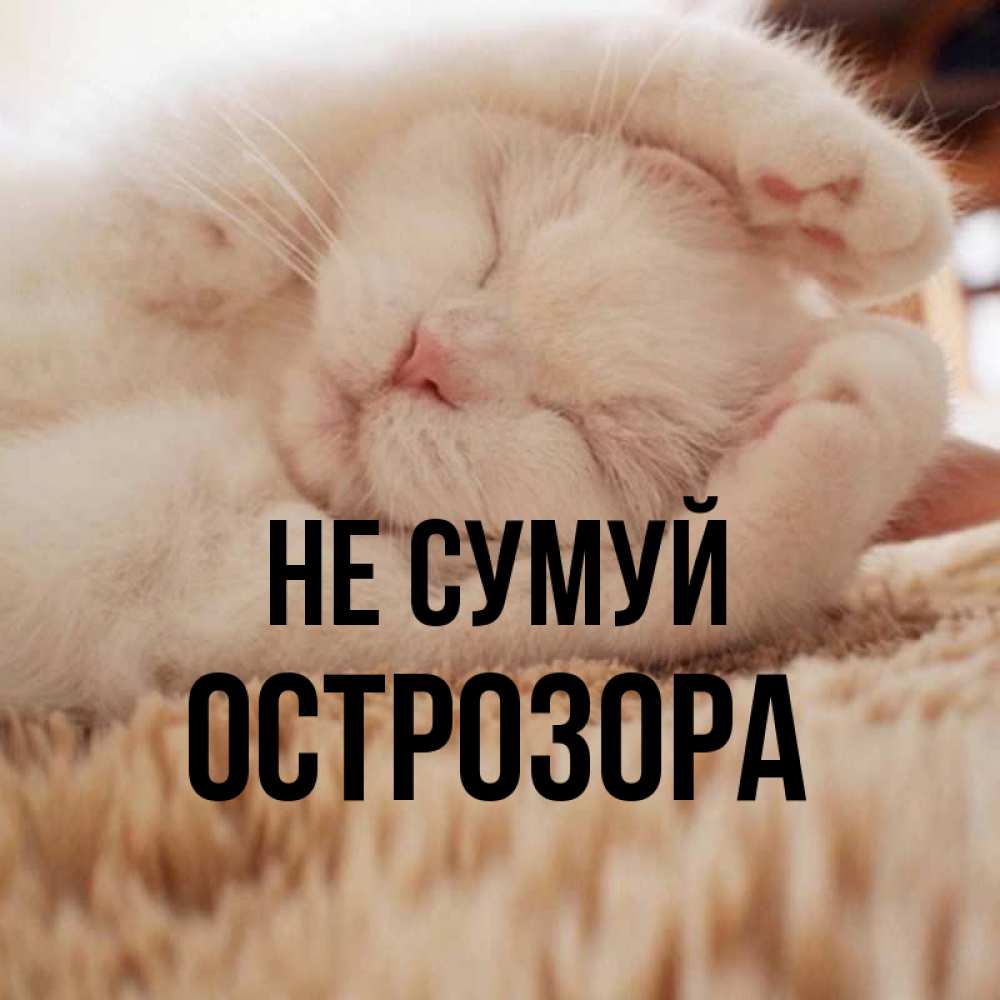 Открытка на каждый день з підписом, Острозора Не сумуй Котенок спит Прикольна листівка з побажанням онлайн скачати безкоштовно 
