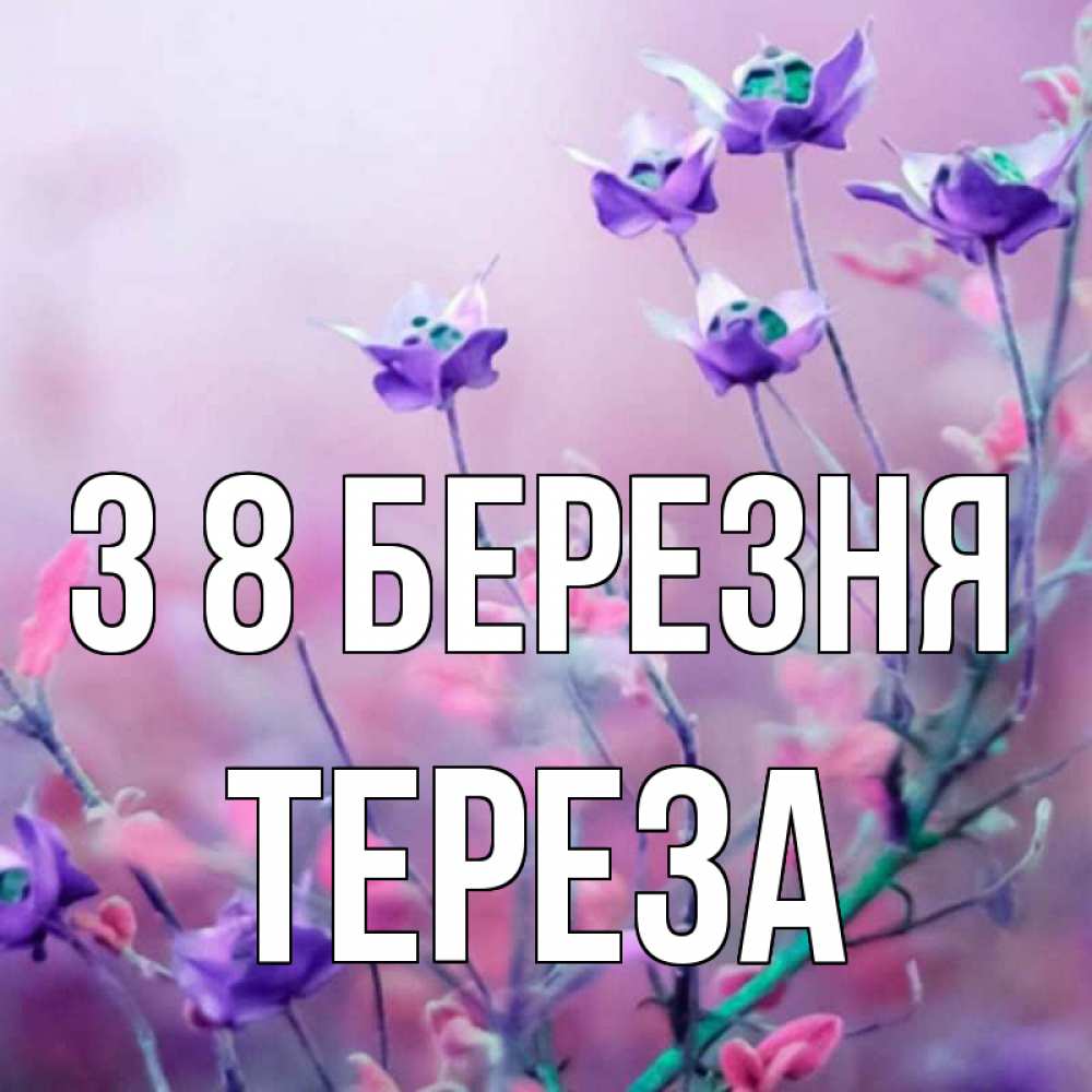Открытка на каждый день з підписом, Тереза З 8 БЕРЕЗНЯ международный женский день 2 Прикольна листівка з побажанням онлайн скачати безкоштовно 