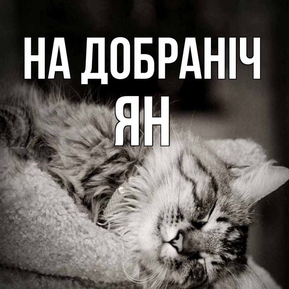 Открытка на каждый день з підписом, Ян На добраніч котярик пушистый Прикольна листівка з побажанням онлайн скачати безкоштовно 