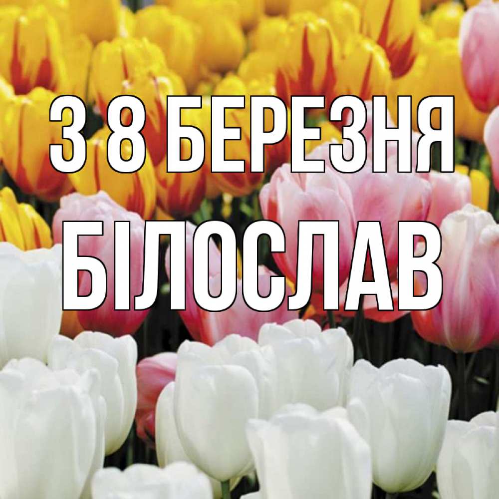 Открытка на каждый день з підписом, Білослав З 8 БЕРЕЗНЯ разноцветные цветы Прикольна листівка з побажанням онлайн скачати безкоштовно 