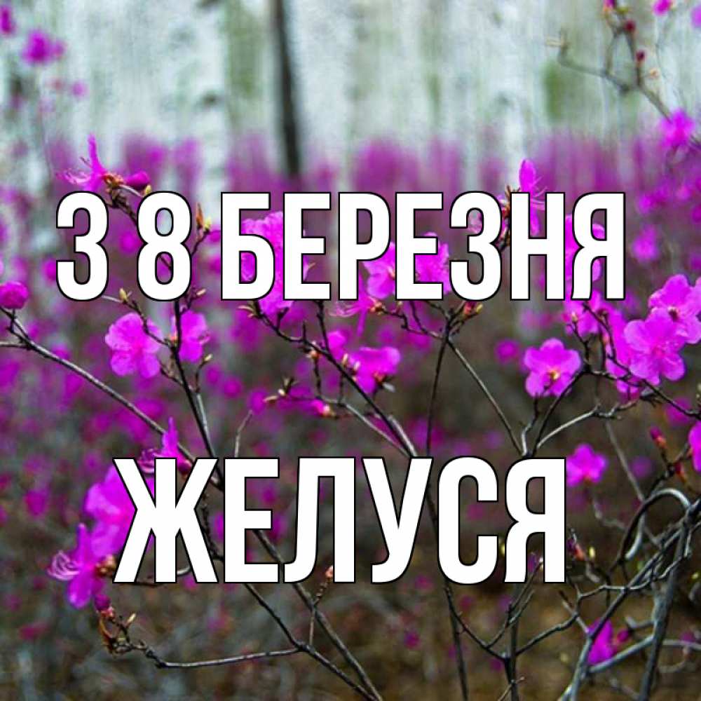 Открытка на каждый день з підписом, Желуся З 8 БЕРЕЗНЯ дикие цветы Прикольна листівка з побажанням онлайн скачати безкоштовно 