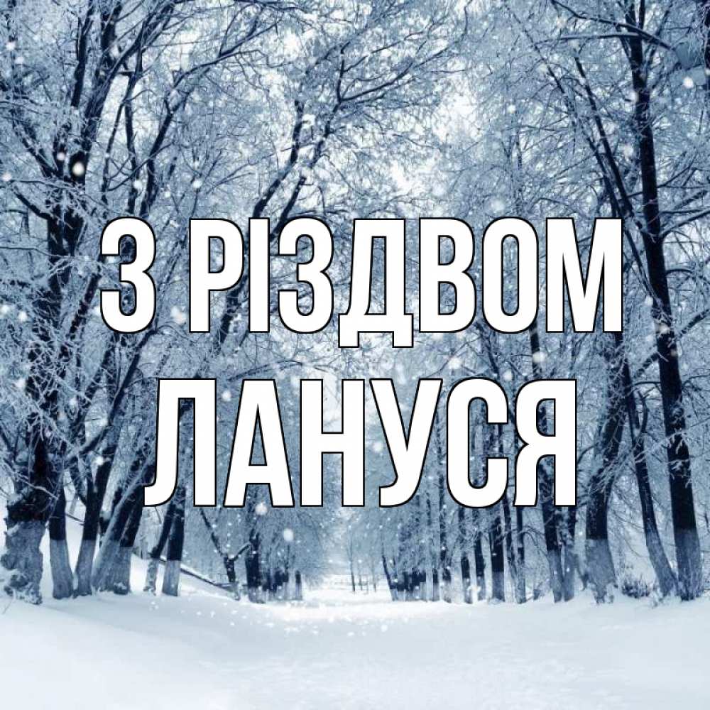 Открытка на каждый день з підписом, Лануся З Різдвом снег, лес, парк Прикольна листівка з побажанням онлайн скачати безкоштовно 