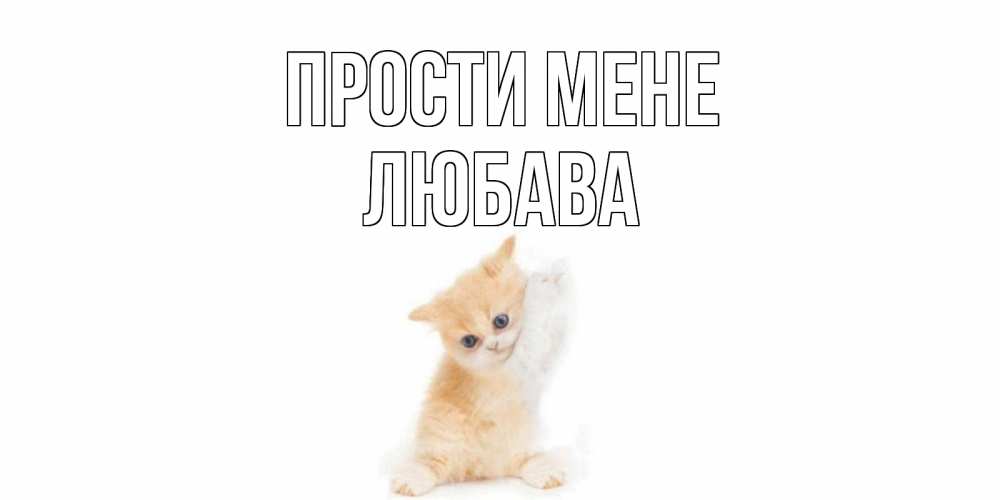 Открытка на каждый день з підписом, Любава Прости мене кот Прикольна листівка з побажанням онлайн скачати безкоштовно 