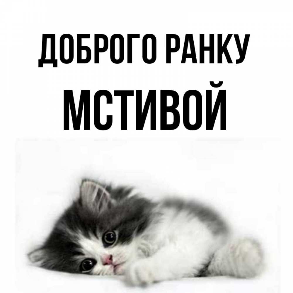 Открытка на каждый день з підписом, Мстивой Доброго ранку кот лапки Прикольна листівка з побажанням онлайн скачати безкоштовно 