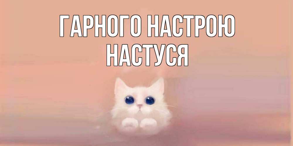 Открытка на каждый день з підписом, Настуся Гарного настрою кошка Прикольна листівка з побажанням онлайн скачати безкоштовно 