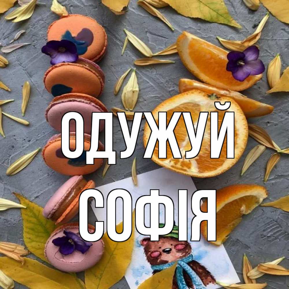 Открытка на каждый день з підписом, Софія Одужуй не болейте Прикольна листівка з побажанням онлайн скачати безкоштовно 