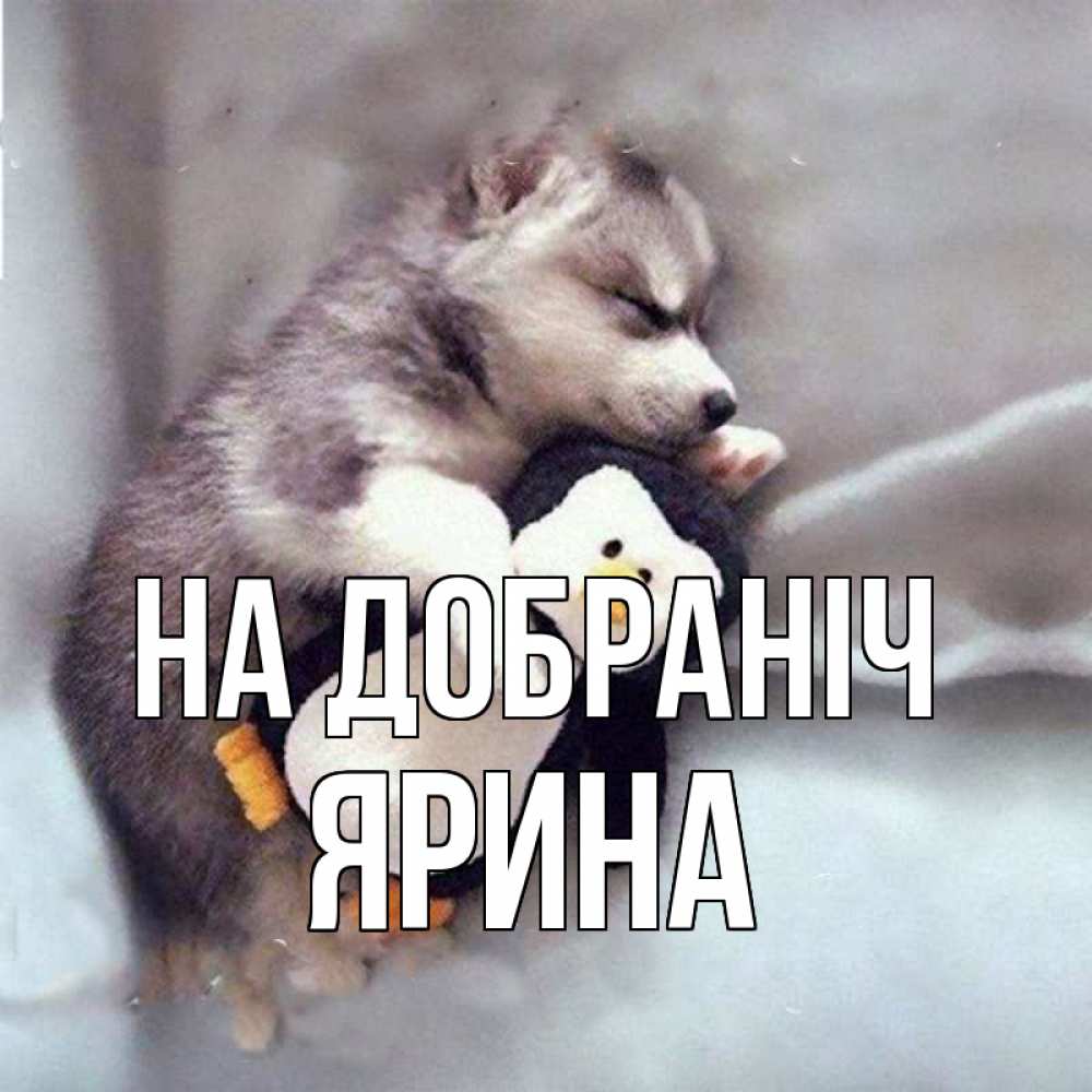 Открытка на каждый день з підписом, Ярина На добраніч обнимашки щенка и пингвина Прикольна листівка з побажанням онлайн скачати безкоштовно 
