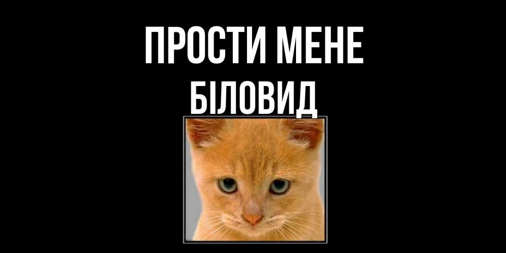 Открытка на каждый день з підписом, Біловид Прости мене рыжий грустный кот просит прощения Прикольна листівка з побажанням онлайн скачати безкоштовно 